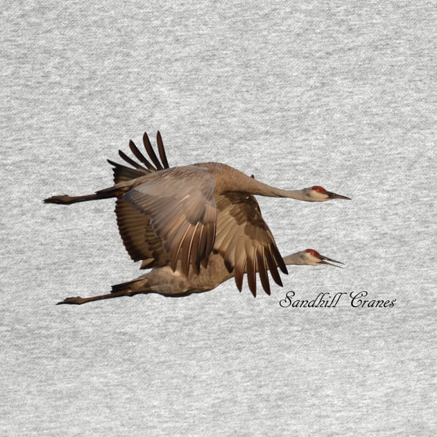 Sandhill Cranes Flying by Whisperingpeaks